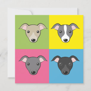 Cute Fun Cartoon Italiaanse greyhounds Colorful Ca