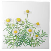 Cute Fun  Chamomile Flowers Tegeltje (Voorkant)
