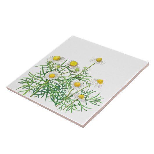 Cute Fun  Chamomile Flowers Tegeltje (Zijkant)