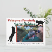 Cute Fun Playful Cats Merry Kerstfoto Feestdagenkaart (Staand voorkant)