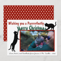Cute Fun Playful Cats Merry Kerstfoto