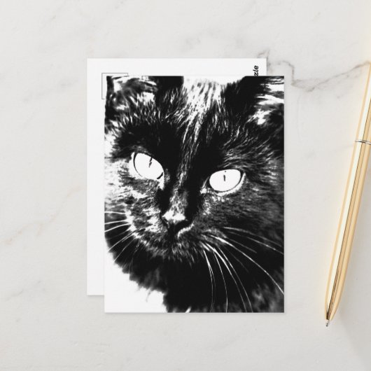 Cute Funky Black Cat Kitten Eyes Sketch Briefkaart (Voorkant / Achterkant in situ)