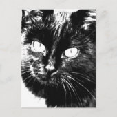 Cute Funky Black Cat Kitten Eyes Sketch Briefkaart (Voorkant)