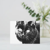 Cute Funky Black Cat Kitten Eyes Sketch Briefkaart (Staand voorkant)