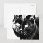 Cute Funky Black Cat Kitten Eyes Sketch Briefkaart (Voorkant / Achterkant)