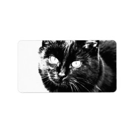 Cute Funky Black Cat Kitten Eyes Sketch Etiket