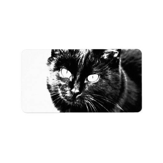 Cute Funky Black Cat Kitten Eyes Sketch Etiket (Voorkant)