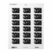 Cute Funky Black Cat Kitten Eyes Sketch Etiket (Full Sheet)