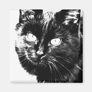 Cute Funky Black Cat Kitten Eyes Sketch Magneet