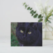 Cute Funky Black Cat Kitten Yellow Eyes Briefkaart (Staand voorkant)