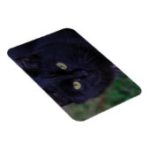 Cute Funky Black Cat Kitten Yellow Eyes Magneet (Rechterzijde)