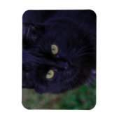 Cute Funky Black Cat Kitten Yellow Eyes Magneet (Verticaal)