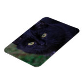 Cute Funky Black Cat Kitten Yellow Eyes Magneet (Linkerzijde)
