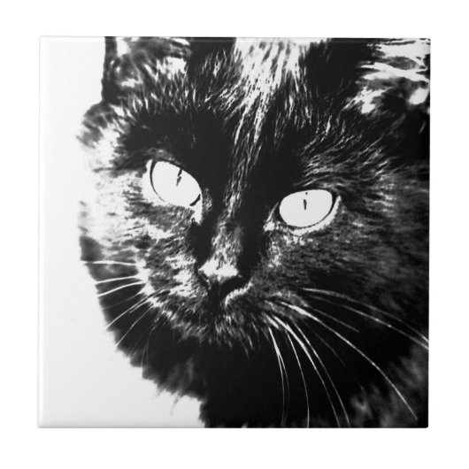 Cute Funky Black en White Cat Kitten Sketch Tegeltje (Voorkant)