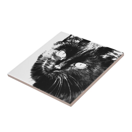 Cute Funky Black en White Cat Kitten Sketch Tegeltje (Zijkant)