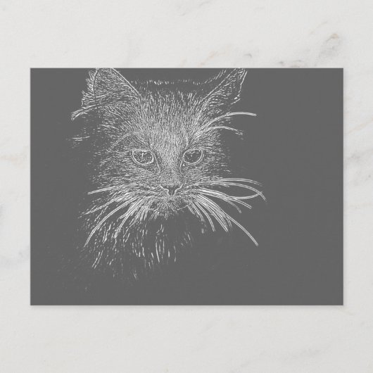 Cute Funky Cat Kitten Eyes face Sketch Briefkaart (Voorkant)