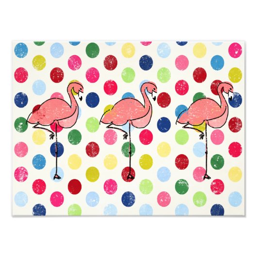 Cute Funky Flamingos Colorful Polka Dots Foto Afdruk (Voorkant)