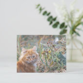 Cute Funky Ginger Cat Kitten Face Briefkaart (Staand voorkant)