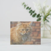 Cute Funky Ginger Cat Kitten Face Briefkaart (Staand voorkant)