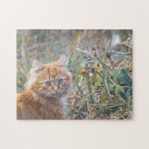 Cute Funky Ginger Cat Kitten Face Grass Legpuzzel