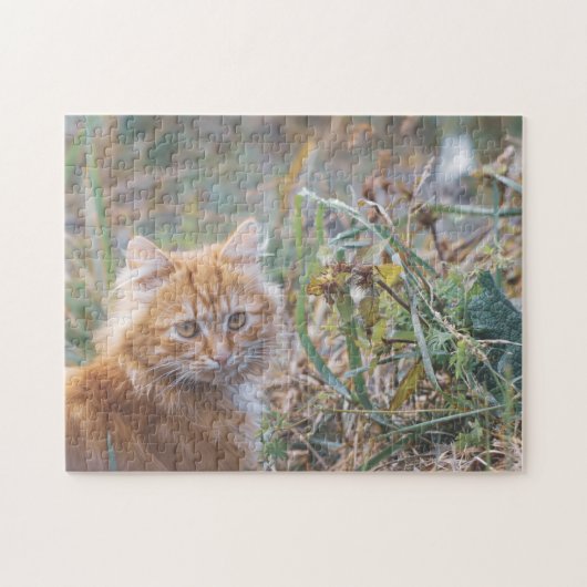 Cute Funky Ginger Cat Kitten Face Grass Legpuzzel (Horizontaal)