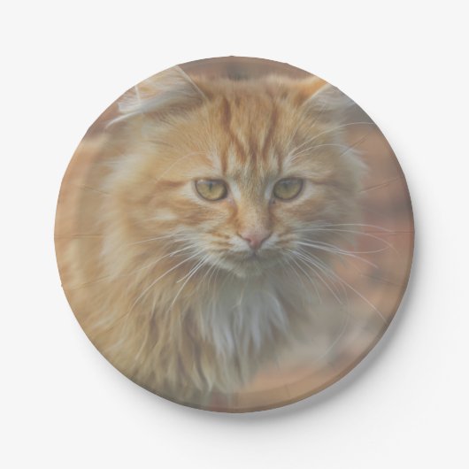 Cute Funky Ginger Cat Kitten Face Papieren Bordje (Voorkant)