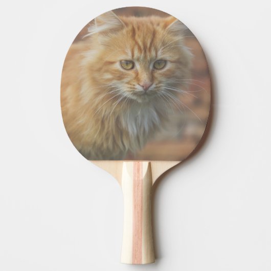 Cute Funky Ginger Cat Kitten Face Tafeltennisbatje (Voorkant)