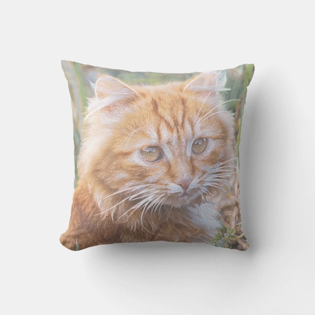 Cute Funky Ginger Cat Kitten Painting Kussen (Voorkant)