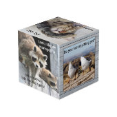 Cute Funny Animal Foto Cube Kubus (Achter hoekig)