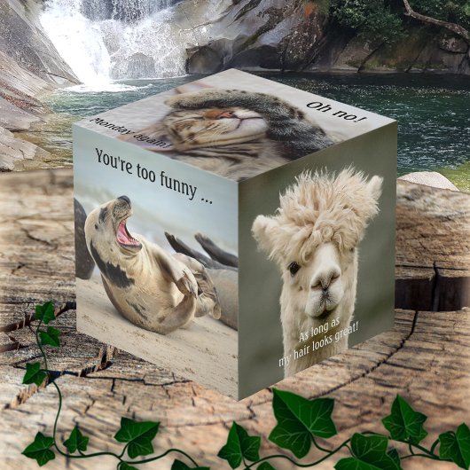 Cute Funny Animal Foto Cube Kubus