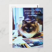 Cute Funny Animal Kitty Cat Joke Briefkaart (Voorkant / Achterkant)