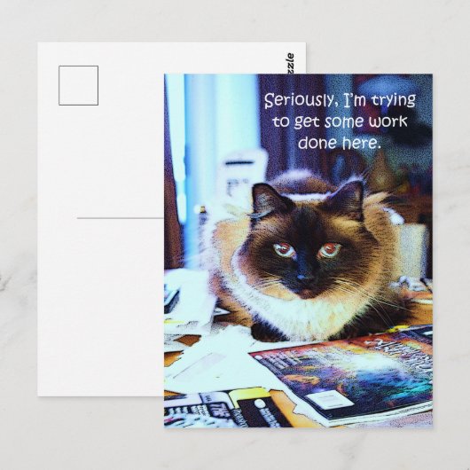 Cute Funny Animal Kitty Cat Joke Briefkaart (Voorkant / Achterkant)