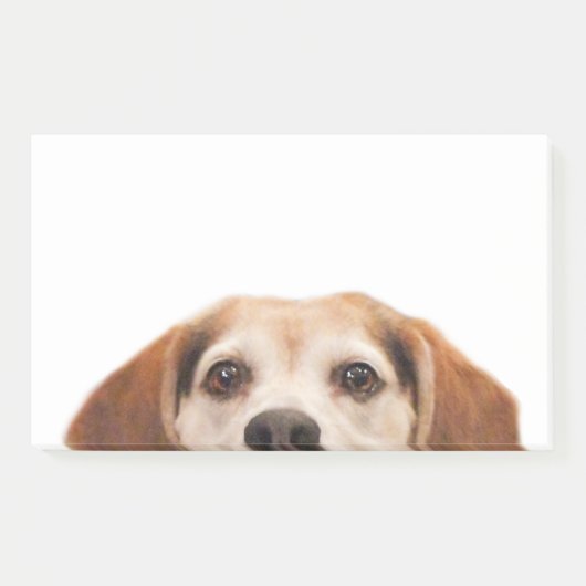 Cute Funny Beagle Dog Modern Trendy Post-it® Notes (Voorkant)
