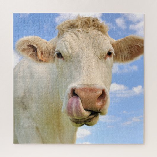 Cute Funny Boerderij Charolais Koe Licking Nose Legpuzzel (Verticaal)