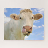 Cute Funny Boerderij Charolais Koe Licking Nose Legpuzzel (Horizontaal)