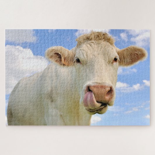 Cute Funny Boerderij Charolais Koe Licking Nose Legpuzzel (Horizontaal)