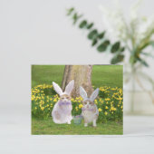 Cute, Funny Bunny Cats Briefkaart (Staand voorkant)