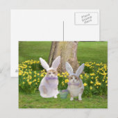 Cute, Funny Bunny Cats Briefkaart (Voorkant / Achterkant)