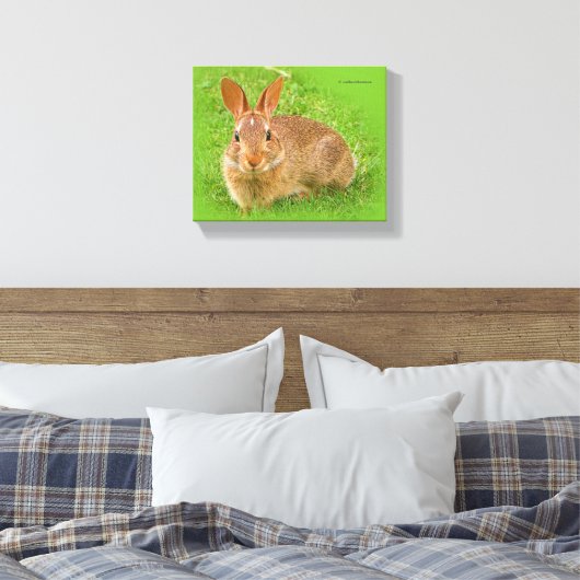 Cute Funny Bunny Nibbling Fairway Greens Canvas Afdruk (Insitu (Slaapkamer))