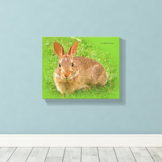 Cute Funny Bunny Nibbling Fairway Greens Canvas Afdruk (Insitu (Houten vloer))