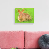 Cute Funny Bunny Nibbling Fairway Greens Canvas Afdruk (Insitu (Woonkamer))