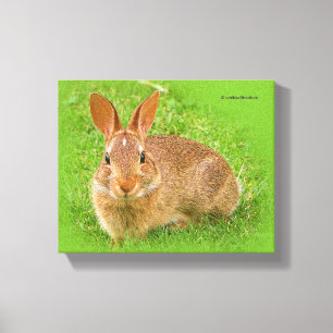 Cute Funny Bunny Nibbling Fairway Greens Canvas Afdruk