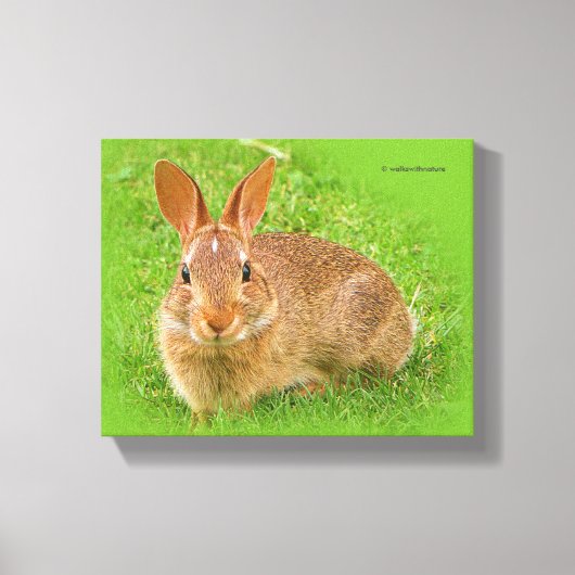 Cute Funny Bunny Nibbling Fairway Greens Canvas Afdruk (Voorkant)