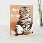Cute Funny Cat Happy Birthday Kaart (Voorkant)