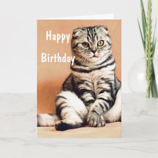 Cute Funny Cat Happy Birthday Kaart (Voorkant)