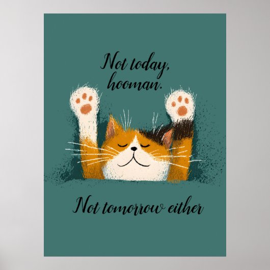 Cute Funny Cat Nap Poster (Voorkant)