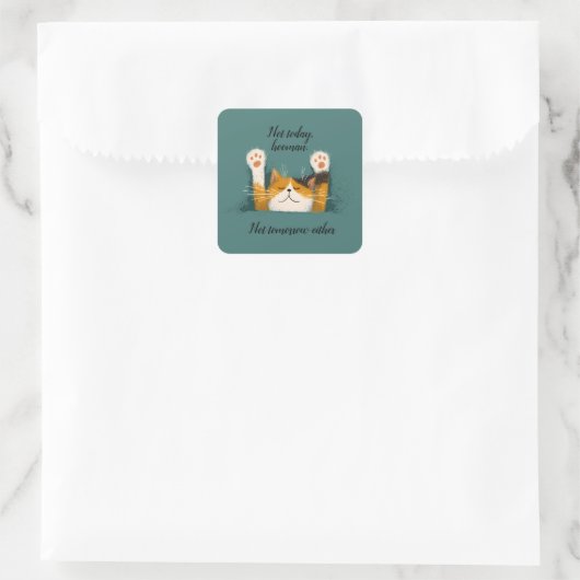 Cute Funny Cat Nap Vierkante Sticker (Tas)