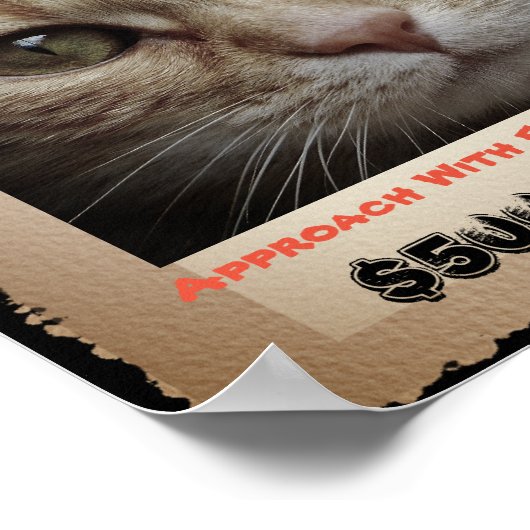 Cute Funny Cat Wanted Afbeelding Poster (Hoek)