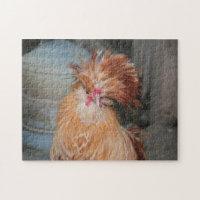 Cute Funny Chicken Rooster Feather Head