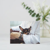 Cute & Funny Chihuahua briefkaart (Staand voorkant)